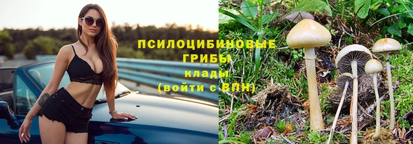 стафф Алексеевка