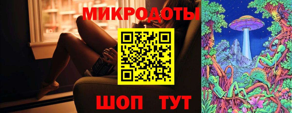 Галлюциногенные грибы Psilocybine cubensis Красноярск