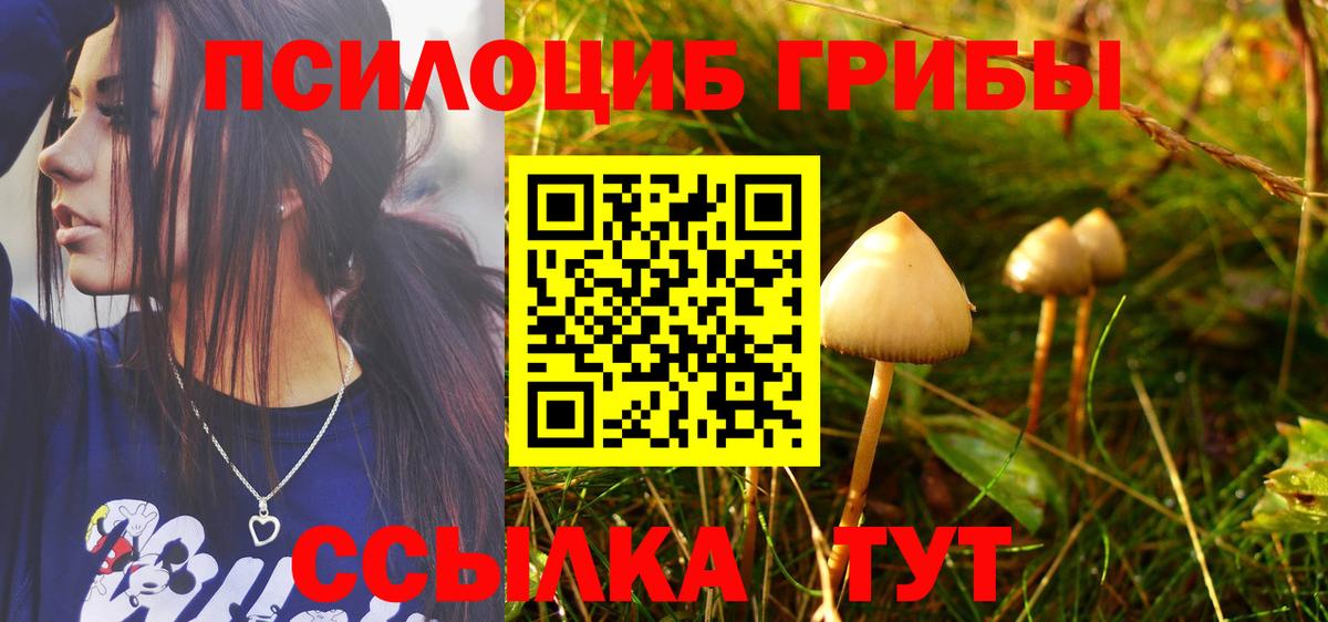 Красноярск  Псилоцибиновые грибы GOLDEN TEACHER  Псилоцибиновые грибы Psilocybe  Вход с VPN 